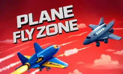 Plane Fly Zone image