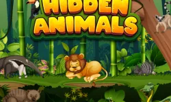 image bg Hidden Animals