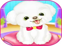 Pets Day Care Pro image