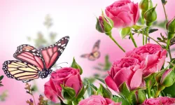Butterflies Puzzle image