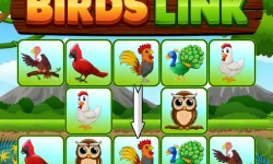 Birds Link image