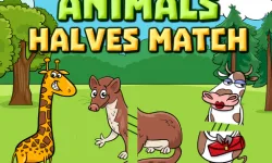 image bg Animals Halves Match