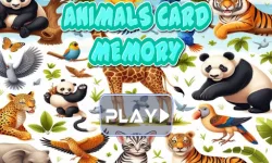 Animal cards memory image