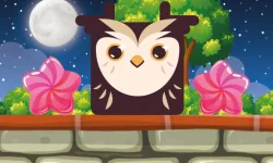 Owl Block image