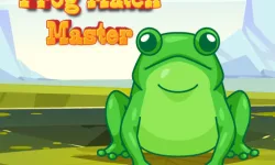 Frog Match Master image
