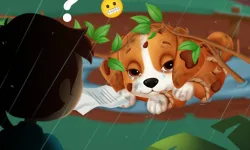 image bg Lost Puppy Rescue and Care