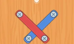Nuts Bolts Screw Puzzle image
