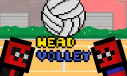 Head Volley image