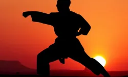 Karate Sunset Warriors image