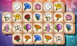 image bg Blossom Link