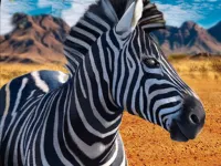 ZEBRA HUNTER SNIPER SHOOTING image