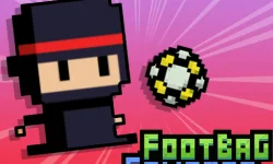 Footbag Fanatic image