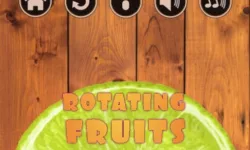 Rotating Fruits image