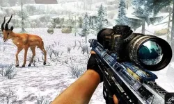 image bg Sniper Hunting Jungle 2022