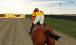 Horse Rider image