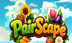 image bg PairScape