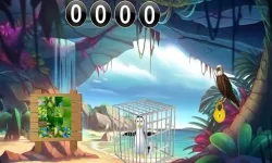 image bg G2M Penguin Escape