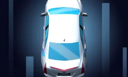 Fish Parking image