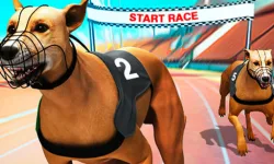 Crazy Dog Racing Fever image