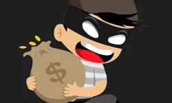 Smart Looter 3D image