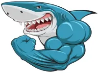 image bg Mads Shark