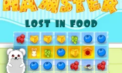Hamster Lost In Food image