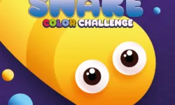 image bg Snake Color Challenge