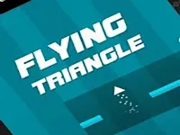 Flying Triangle 2021 image