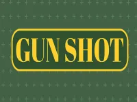 image bg Gun Shoot HD