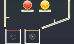 Fruit Juices image
