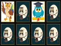 image bg Cute Owl Memory