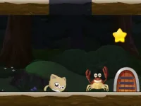 image bg Cat Rolling