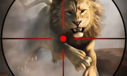 wild life hunting image