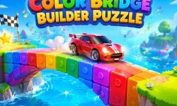 Color Bridge Builder Puzzle image