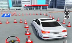 Parking Master: License Exam image