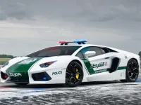 Police Cars Jigsaw Puzzle image
