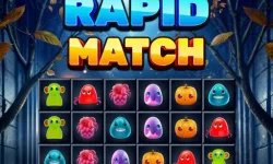 Rapid Match image