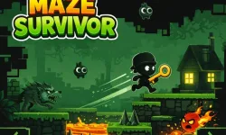 Maze Survivor Platform Adventure Game image