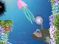 image bg Jelly Sea