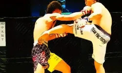 UFC Fighting Match Jigsaw image
