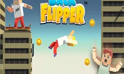 Back Flipper image