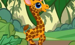 Giraffe Jigsaw image