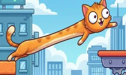 CatStretch image