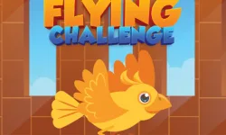 Flying Challenge image