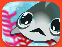 image bg Fish