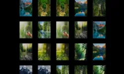 memorize nature image
