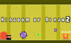 Kingdom of Ninja 2 image