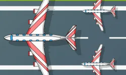 Flight Survival image