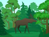 Wild Animals Coloring image