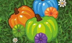 image bg Color Pumpkin Match